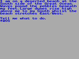 Screen from Return of the Warrior