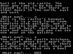Screen from Ring Quest