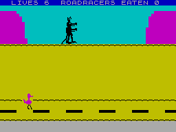 Screen from Road Racer