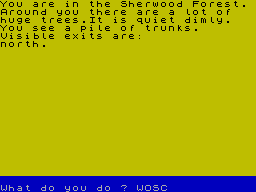 Screen from Robin Hood
