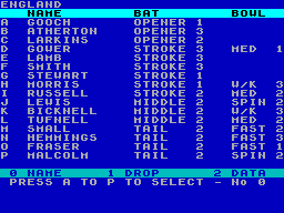 Screen from Robin Smith's International Cricket