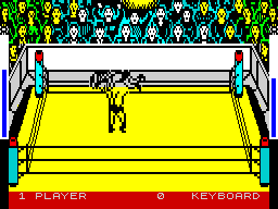 Screen from Rock 'n Wrestle