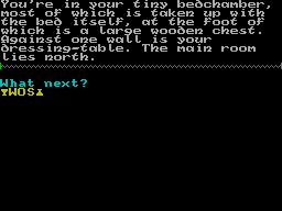 Screen from Run, Bronwynn, Run!