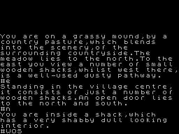 Screen from The Runestone of Zaobab + Escape from Magic