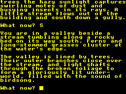 Screen from The Serf's Tale