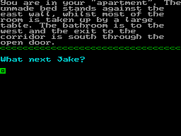 Screen from Settlement XIII
