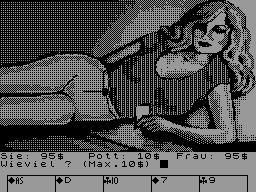 Screen from Sex Poker