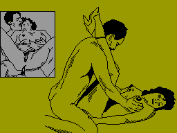 Screen from Sex Simulator 1