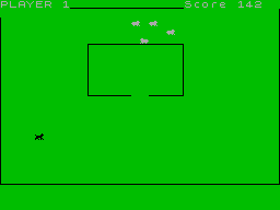 Screen from Sheepdog Trials