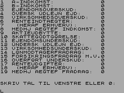 Screen from Skatteberegning