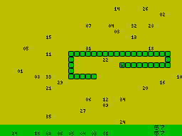 Screen from SnakeBingo