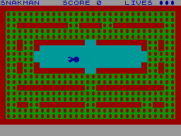Screen from Snakman