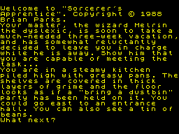 Screen from Sorcerer's Apprentice