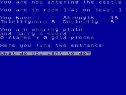 Screen from Sorcerer's Castle