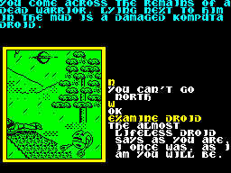 Screen from Souls of Darkon