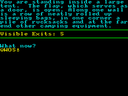 Screen from A Soupcon of Trouble