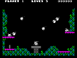 Screen from Space Disposal