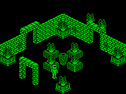 Screen from The Spirit of Ninja