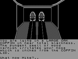 Screen from Spytrek Adventure