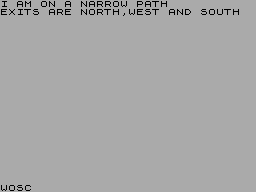 Screen from Steve Silver Adventure 1