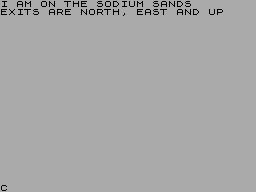 Screen from Steve Silver Adventure 2