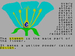 Screen from The Structure of the Flower