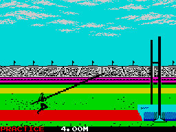 Screen from Summer Games