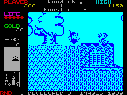 Screen from Super Wonder Boy