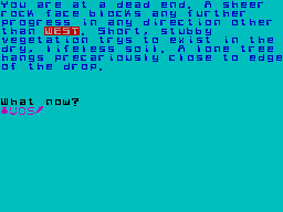 Screen from Survival