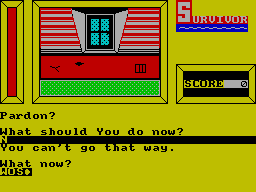 Screen from Survivor