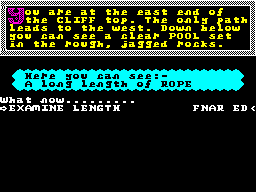 Screen from The Tartan Eleven