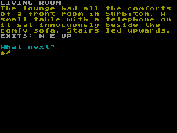 Screen from Teenage Emergency