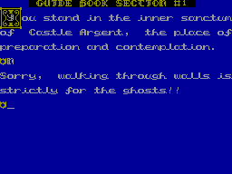 Screen from Tower of Despair