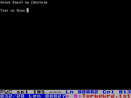 Screen from Turbo Word