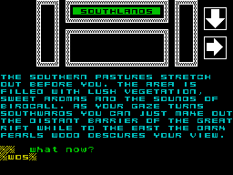 Screen from The Unborn One