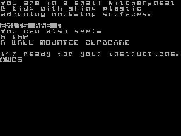 Screen from The Village