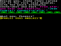 Screen from The Violator of Voodoo