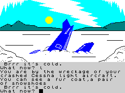 Screen from Winter Wonderland