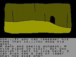 Screen from Wiz-Biz