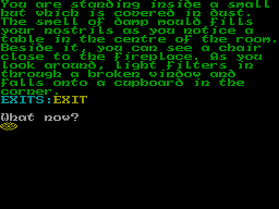 Screen from The Wizards Skull