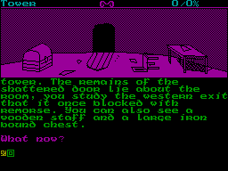 Screen from Wizard's Warrior