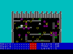 Screen from Wombat Combat