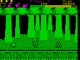 Screen from Wonder Boy