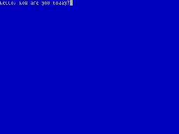 Screen from Word Processor