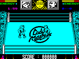 Screen from Wrestling Superstars