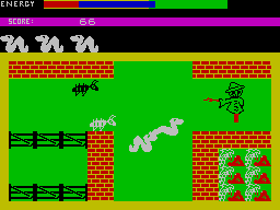 Screen from Wriggler