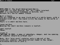 Screen from ZXZVM